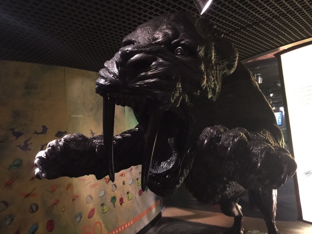 Säbelzahntiger